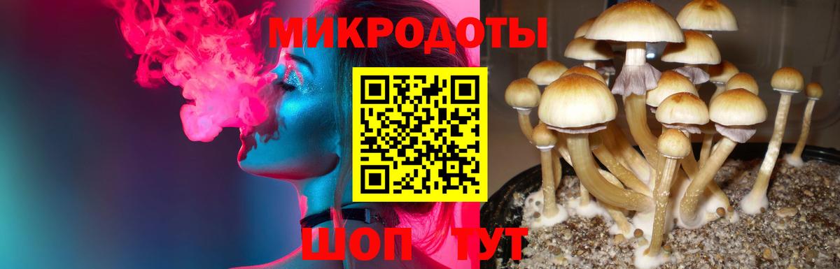 Псилоцибиновые грибы MAGIC MUSHROOMS  Вход с VPN  Псилоцибиновые грибы мицелий  Реутов 
