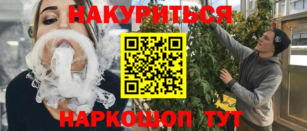 Бошки Шишки план Реутов
